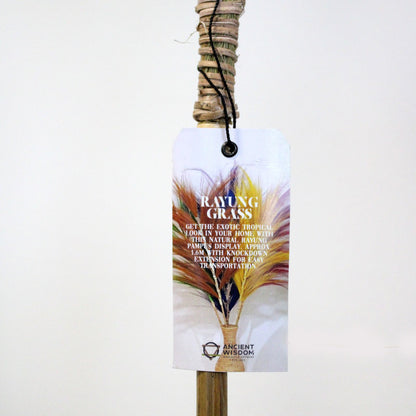 Rayung Grass Lavender- 1.6m