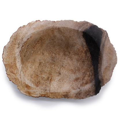 Petrified Wood Brown/Black Soap Dish